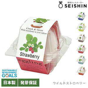 ͔|Zbg ͔|Lbg V| GbOO NApbP[W EG57 y S eggling ~g oW JN^X ChXgx[ N[o[ `ybp[ ^ 킢 v`Mtg 