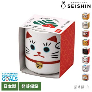 栽培キット 栽培セット 室内 聖新陶芸 お芽でたおちょこ 【 5色唐辛子 赤松 黒松 達磨 だるま 招き猫 まねきねこ 柴犬 忠犬ハチ公 縁起物 ギフト プレゼント ミニ盆栽 かわいい 和風 日本 】
