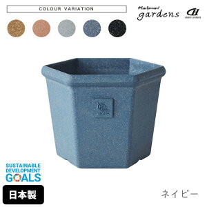 �_3000�~��5%OFF�N�[�|���^ �A�ؔ� ������� �v���X�`�b�N ���� �G�R�|�b�g�Z�p�^ 200 2.7L ��20.5cm ���s18.1cm ����15.6cm �������� gardens �A�[�u�� �y �f�Ă��� �I�V���� �� �v���� �K�[�f�j���O �C��