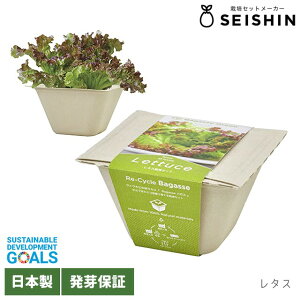 V| oKXO[ GD-953 y V| ͔|Zbg ͔|Lbg GR fBbV ~jLbg ^X T_zE\E lM ~jg}g z