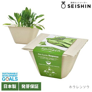 V| oKXO[ GD-953 y V| ͔|Zbg ͔|Lbg GR fBbV ~jLbg ^X T_zE\E lM ~jg}g z