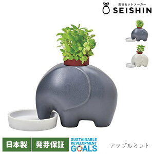 V| Gvg GD-955 y V| ͔|Zbg ͔|Lbg  n[u Abv~g ChXgx[  z