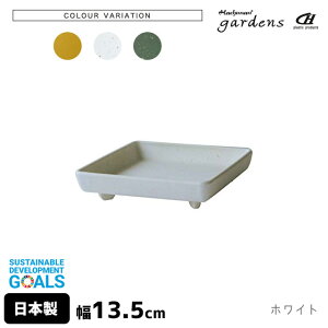 󂯎M M GRv[g p^ 120 13.5cm s13.5cm 3cm  gardens psG y Aؔʔ t  K[fjO CeA k vX`bN  lp XNGA z