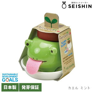 ͔|Lbg n[u V| y| Aj}Y y V| ͔|Zbg ͔|Lbg  N[o[ n[u oW ~g z