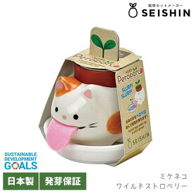 栽培キット ハーブ 聖新陶芸 ペロポン キャッツ 【 聖新陶芸 栽培セット 栽培キット 猫 ねこ ハーブ ワイルドストロベリー バジル ミント 】