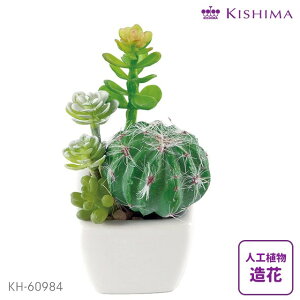 Kishima TLgtE LA[eBtBVO[