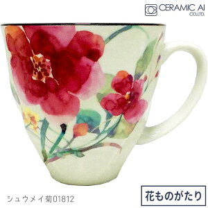 Z~bN Ԃ̂ 12J }OJbv  Mtg ̓ Ԍt