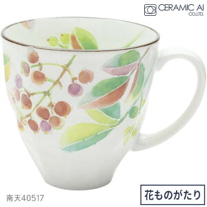 Z~bN Ԃ̂ 12J }OJbv  Mtg ̓ Ԍt