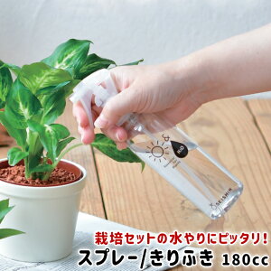 _3000~5%OFFN[|^  ~Xg V| K[fXv[ GD-963 y V|  ~Xg ׂ 180ml ϗtA K[fjO | |pi {  LtL z