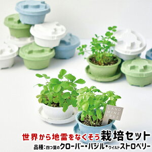 ワイルドストロベリー 栽培セットの人気商品 通販 価格比較 価格 Com