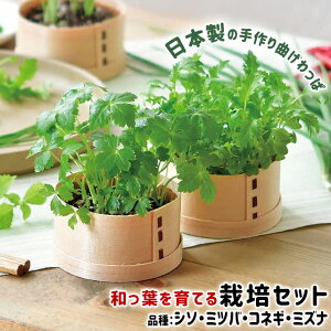 種 三つ葉の人気商品 通販 価格比較 価格 Com