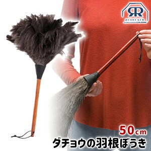 _100~OFFN[|s^ tFU[_X^[ ͂ ASPLUND REDECKER tFU[_X^[50cm y AXvh fbJ[ tFU[_X^[ H͂ ͂ |pi  rO z