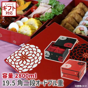 _100~OFFN[|s^ HAKOYA 19.5p id I[hu S 2800ml ٓ d  ^ h a a_  