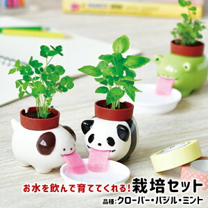 種 ミント 栽培の人気商品 通販 価格比較 価格 Com