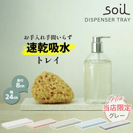 soil 日本製 珪藻土 トレイ DISPENSER TRAY ディスペンサートレイ B057 【 ソイル 幅24cm 吸湿 調湿 イスルギ 乾燥 速乾 おしゃれ 除湿 国産 トレー 安全 吸水 カビ防止 スポンジトレイ 】〈宅配便〉