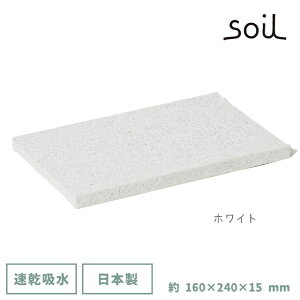 _3000~5%OFFN[|^ soil { ]y AjeB[gC B257 y \C 24cm mAXxXg Y z     CXM  g[ zgC hCO{[h 