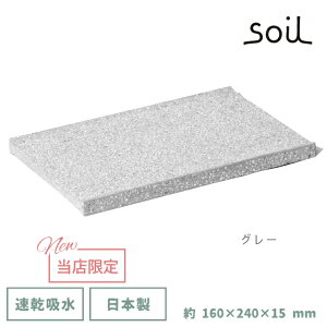 _100~OFFN[|s^ soil { ]y AjeB[gC B257 y \C 24cm mAXxXg Y z     CXM  g[ zgC hCO{[