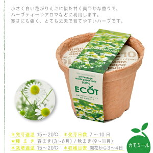 ͔|Zbg ͔|Lbg V| GRbg S yV| V| ͔|Zbg ͔|Lbg n[u͔|Lbg ͔| ƒ؉ R Đ ی GR SDGs z