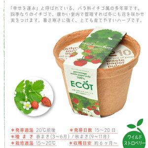 ͔|Zbg ͔|Lbg V| GRbg S yV| V| ͔|Zbg ͔|Lbg n[u͔|Lbg ͔| ƒ؉ R Đ ی GR SDGs z