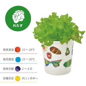 栽培セット 栽培キット 聖新陶芸 はらぺこあおむし ペタペタ&すくすく栽培セット HP-01 【聖新陶芸 はらぺこあおむし 栽培セット 栽培キット 栽培 家庭菜園 自由研究 室内 かわいい】