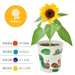 _3000~5%OFFN[|^ ͔|Zbg ͔|Lbg V| ͂؂ނ y^y^͔|Zbg HP-01 yV| ͂؂ނ ͔|Zbg ͔|Lbg ͔| ƒ؉ R