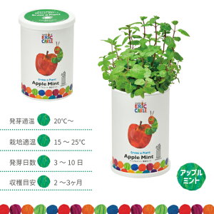 ͔|Zbg ͔|Lbg V| ͂؂ނ Ȃ悵͔|Zbg HP-02 yV| ͂؂ނ ͔|Zbg ͔|Lbg n[u͔|Lbg ͔| ƒ؉ R  킢