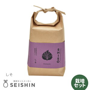 ͔|Lbg ͔|Zbg V| TSUTSUMI GD-996 yV| ͔|Lbg ͔|Zbg 򖡍͔|  hq ͔| R  az