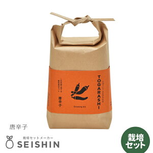 栽培キット 栽培セット 聖新陶芸 TSUTSUMI GD-996 【聖新陶芸 栽培キット 栽培セット 薬味栽培 薬味 唐辛子 栽培 自由研究 室内 和風】