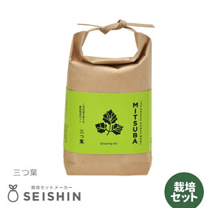 ͔|Lbg ͔|Zbg V| TSUTSUMI GD-996 yV| ͔|Lbg ͔|Zbg 򖡍͔|  hq ͔| R  az