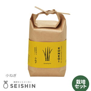 _3000~5%OFFN[|^ ͔|Lbg ͔|Zbg V| TSUTSUMI GD-996 yV| ͔|Lbg ͔|Zbg 򖡍͔|  hq ͔| R  az