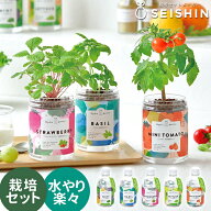 栽培キット 栽培セット 聖新陶芸 グリーンペット GD-1002 【聖新陶芸 栽培セット 栽培キット ハーブ栽培…