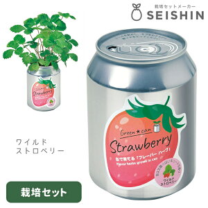 ͔|Lbg ͔|Zbg V| O[J GD-1006 yV| ͔|Zbg ͔|Lbg n[u͔|Lbg ͔| ƒ؉ R   킢z