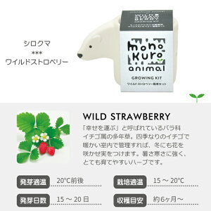 ͔|Lbg ͔|Zbg V| mNAj} GD-1007 yV| ͔|Zbg ͔|Lbg n[u͔|Lbg ͔| ƒ؉ R  z