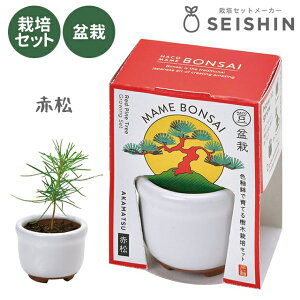 ͔|Lbg ͔|Zbg V| HACO MAME ~͍͔|Zbg GD-965 yV| ͔|Zbg ͔|Lbg ~͍͔|Lbg ͔| ~ R  a v[g Mtgz