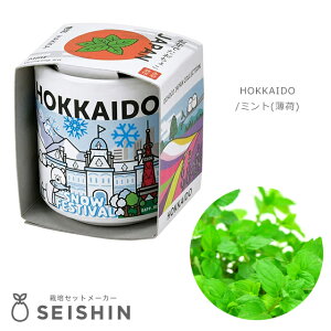 ͔|Lbg ͔|Zbg V| ł傱 JAPAN GD-997 y V| ͔|Lbg ͔|Zbg 򖡍͔|  傱 R  a ݂₰ Mtg v`Mtg z