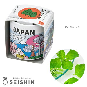 ͔|Lbg ͔|Zbg V| ł傱 JAPAN GD-997 y V| ͔|Lbg ͔|Zbg 򖡍͔|  傱 R  a ݂₰ Mtg v`Mtg z