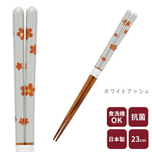 JC (΂)  23cm H@Ή El  蕨 Mtg v[g ig { ԕ l킢  y ̃JC a Y VRf z