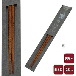 JC tetoca urushi(egJEV)  23cm El  蕨 Mtg v[g ig {  EV VR y ̃JC a Y VRf z