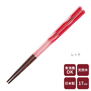 JC FIT  17cm qp H@Ή El  蕨 Mtg v[g ig { y ̃JC a Y VRf u[ bh O[ CG[ z