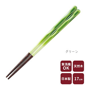 JC FIT  17cm qp H@Ή El  蕨 Mtg v[g ig { y ̃JC a Y VRf u[ bh O[ CG[ z