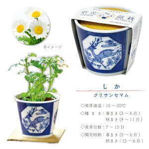 ͔|Zbg ͔|Lbg V| t  BONSAI t n[u N a͗l   { y C`S ChXgx[ ~g NTZ} z