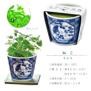 ͔|Zbg ͔|Lbg V| t  BONSAI t n[u N a͗l   { y C`S ChXgx[ ~g NTZ} z