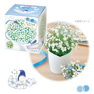 ͔|Zbg ͔|Lbg V| ӂ肩ݑ ͔|Zbg sN  ݑ t[Mtg 蕨   { y ̓ ̓ hV̓ j v[g z