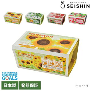 ͔|Lbg ͔|Zbg V| GWCv^[ xW t[   S  y ͔|Zbg v^[ qǂ R ȒP } ~jg}g ~jq} C`S z