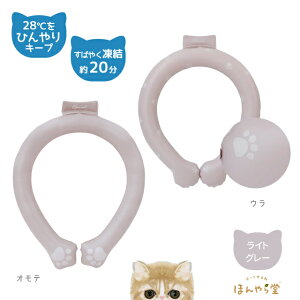 ق瓰 lbNN[[ lbNO L pObY MǑ΍ y LObY 킢 Mtg 蕨 O[ u[ sN z