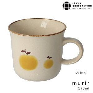 }OJbv { VR[|[V ̂ ~[ }O { y Z ݂   fp z