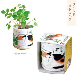 ͔|Zbg ͔|Lbg V| ł傱yL S  ȒP  L v`Mtg y ~g o[ ChXgx[ N[o[ GD-102801 GD-102802 GD-102803 GD-102804 z