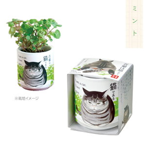 栽培セット 栽培キット 聖新陶芸 お芽でたおちょこ吾輩猫 初心者 屋内 簡単 可愛い 猫 プチギフト 【 ミント レモンバーム ワイルドストロベリー クローバー GD-102801 GD-102802 GD-102803 GD-102804 】