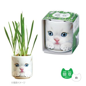 ͔|Zbg ͔|Lbg V| 傱ŔL   ȒP v`Mtg ˂  y L GD-102901 GD-102902 GD-102903 GD-102904 z