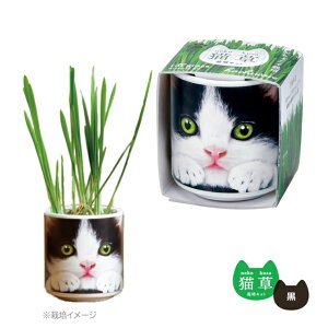 ͔|Zbg ͔|Lbg V| 傱ŔL   ȒP v`Mtg ˂  y L GD-102901 GD-102902 GD-102903 GD-102904 z